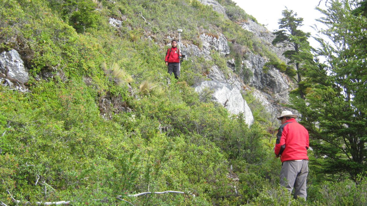 Forestal y agricultura